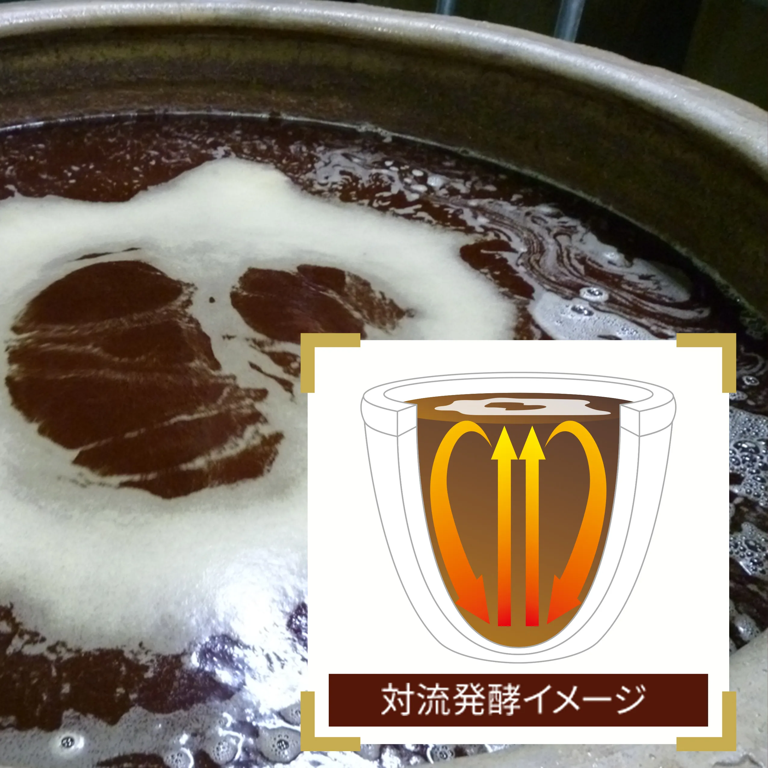 遠赤外線効果のある「陶製かめ」で<span style="color: blue">じっくり発酵＆熟成</span>